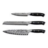 3 pc, Damascus Steel Chef Knife Set